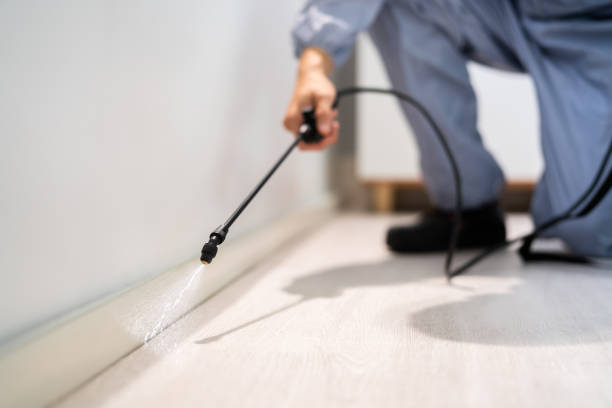 Professional exterminator conducting IPM assessment in Madisonville